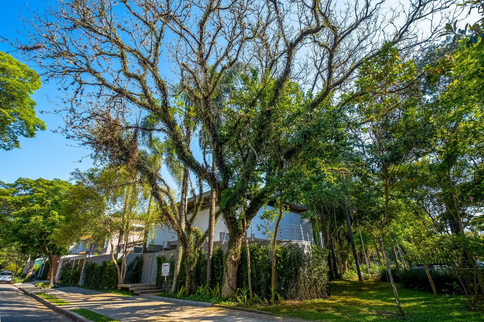 Casa Alto Padrão no Jardim Paulista: 310m² Construídos, Terreno 497m², Arquitetura Icônica e Retrofit Exclusivo